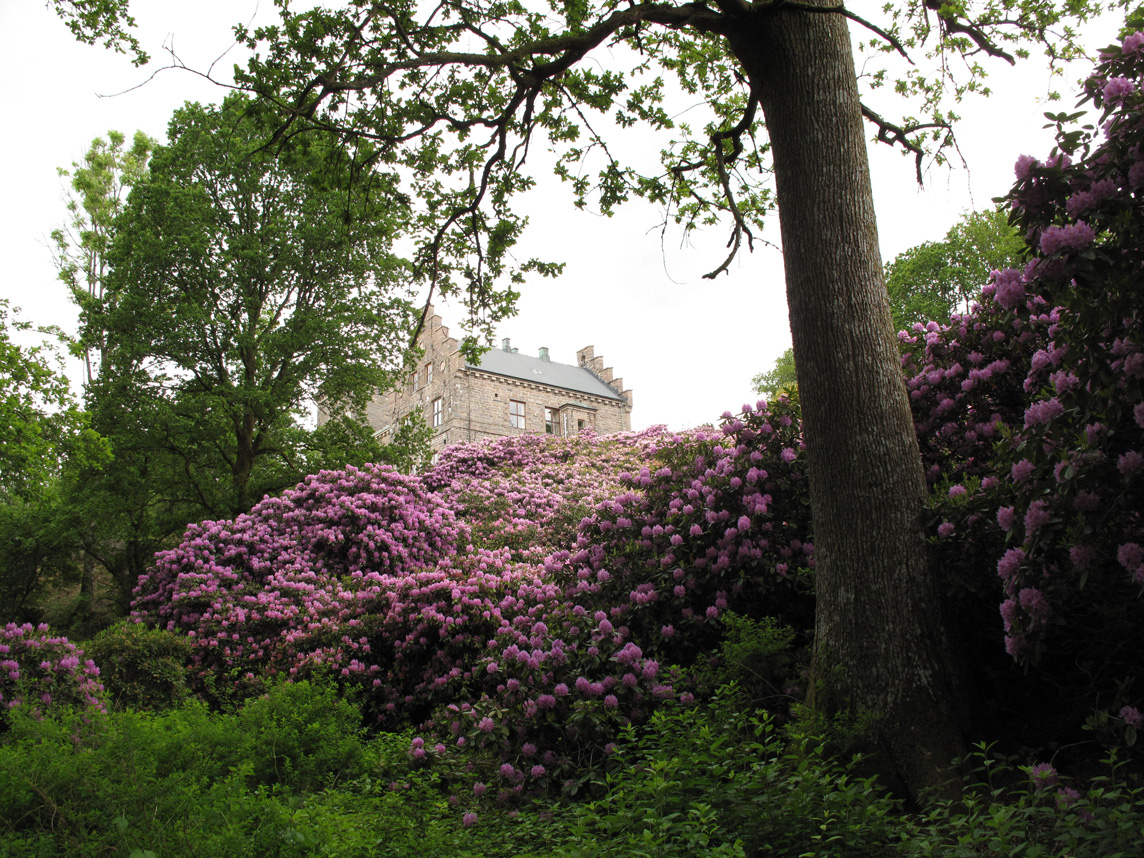 Hjuleberg