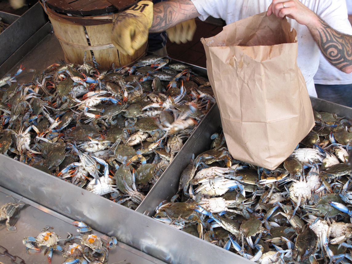 Or some crabs?