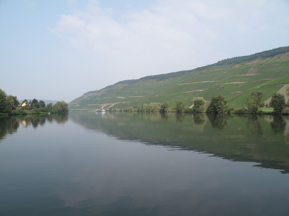 Mosel