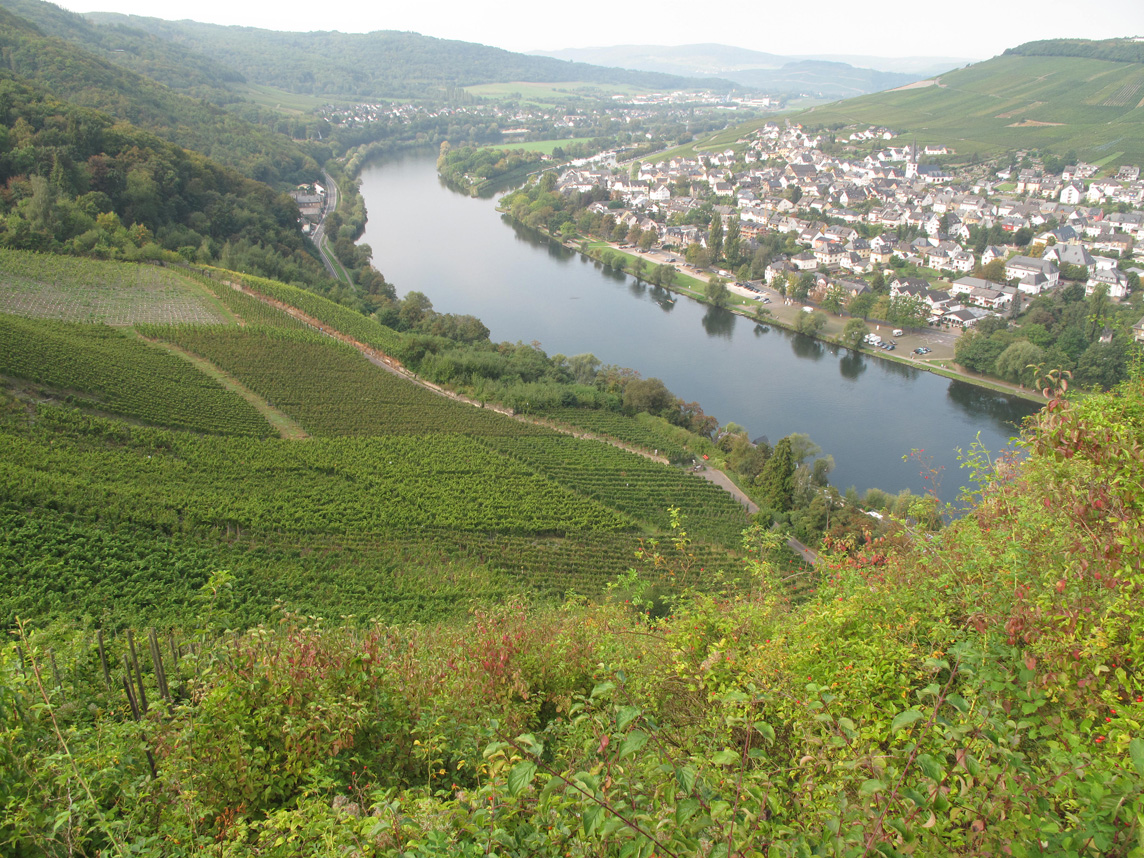 view from Burg Landshut