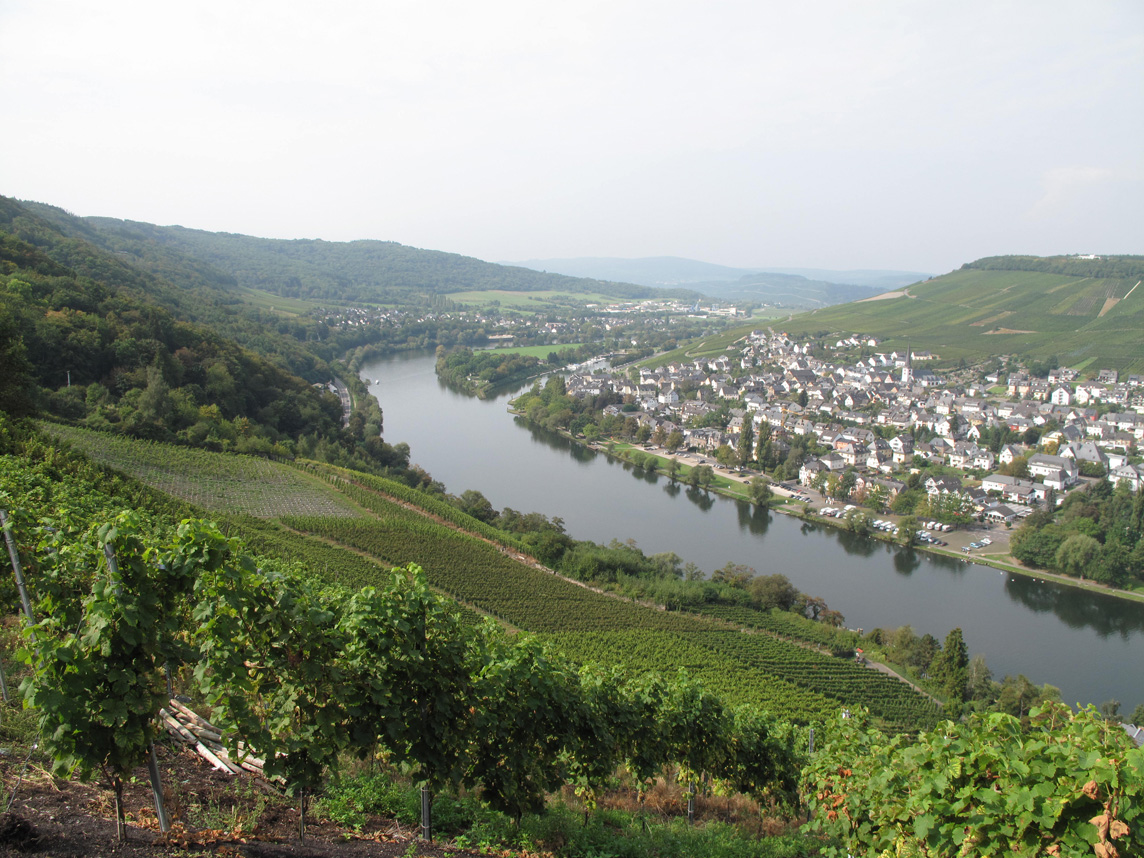 view from Burg Landshut