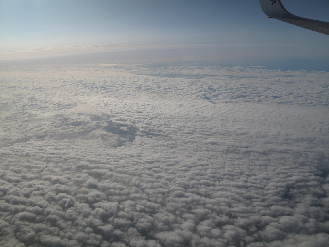 flying home