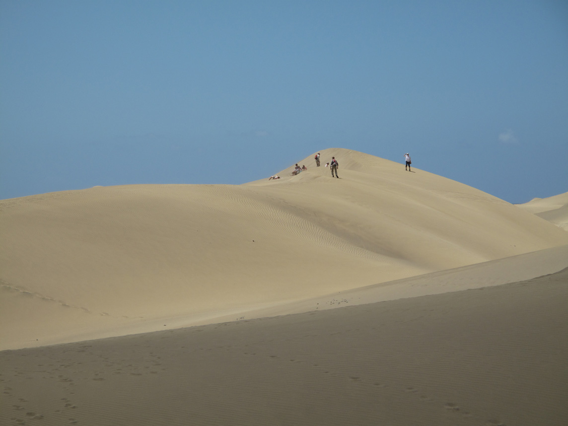 Sands of  Maspalomas Dunes