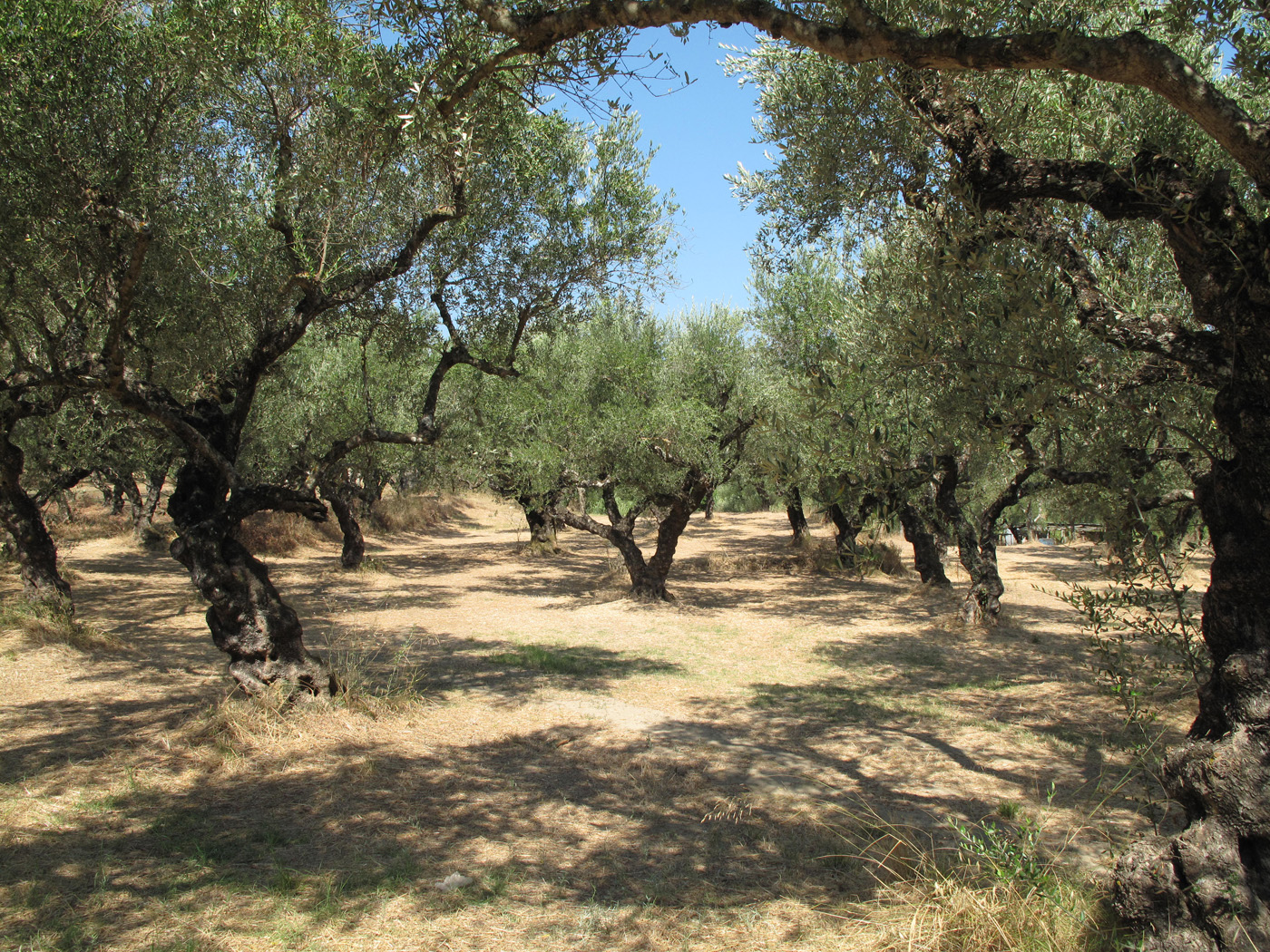 A trip to Zakynthos, Greece, Summer 2012 part 1